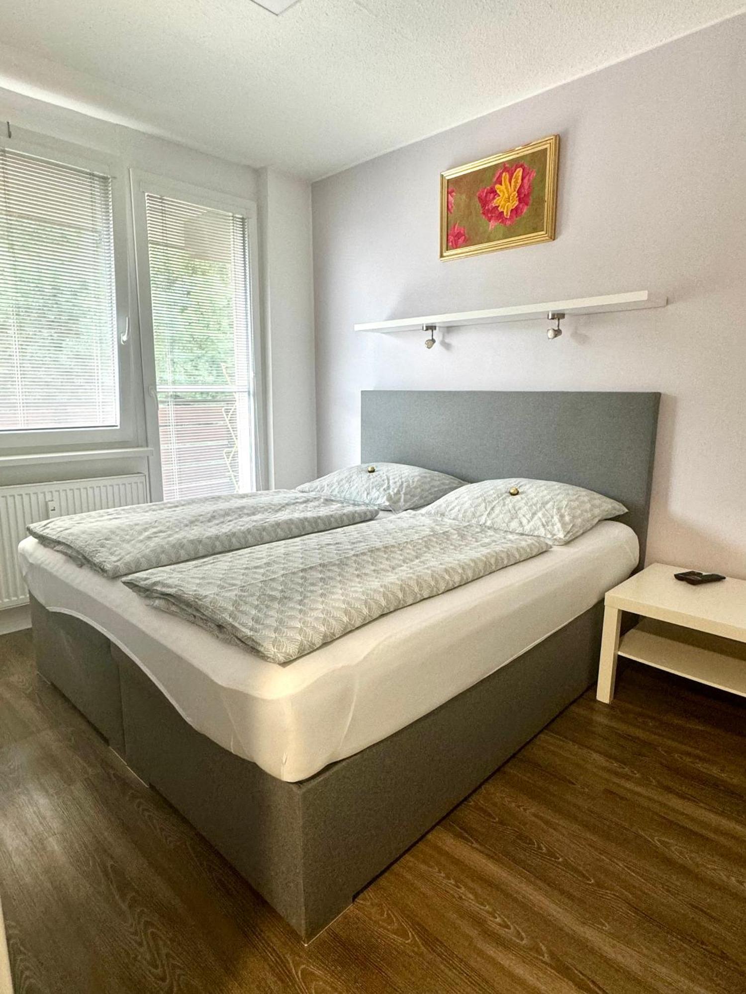 Apartment 31 Vsemina